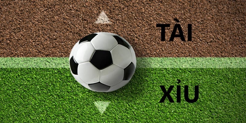 Kèo tài xỉu tại Mibet - Cách soi kèo, đặt cược 3 Keo-tai-xiu-Tim-hieu-ve-cach-doc-tai-xiu-1-¾-trai-
