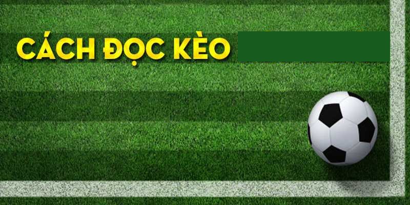 Cách soi kèo đồng banh tại Mibet chuẩn và hiệu quả nhất 2 Cach-doc-keo-dong-banh-Mibet
