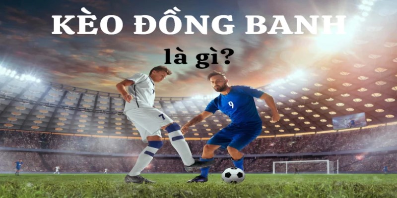 Cách soi kèo đồng banh tại Mibet chuẩn và hiệu quả nhất 1 Gioi-thieu-ve-keo-dong-banh