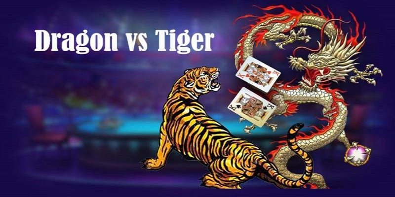 Game Dragon Tiger - Lý Giải Luật Chơi Và Sức Hút Của Game 4 ly-giai-suc-hut-cua-game-dragon-tiger