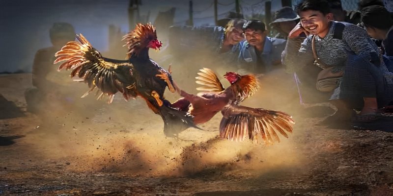 Mibet - Xem Chơi Đá Gà Online Đỉnh Cao Và An Toàn 2024 2 mo-ra-khong-gian-thuong-thuc-da-ga-truc-tuyen-hap-dan (1)
