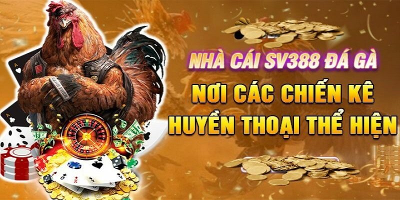 Tổng Hợp Top Các Web Đá Gà Online Đáng Tin Cậy Nhất 2024 3 sv388-nha-cai-da-ga-truc-tuyen-so-1-viet-nam