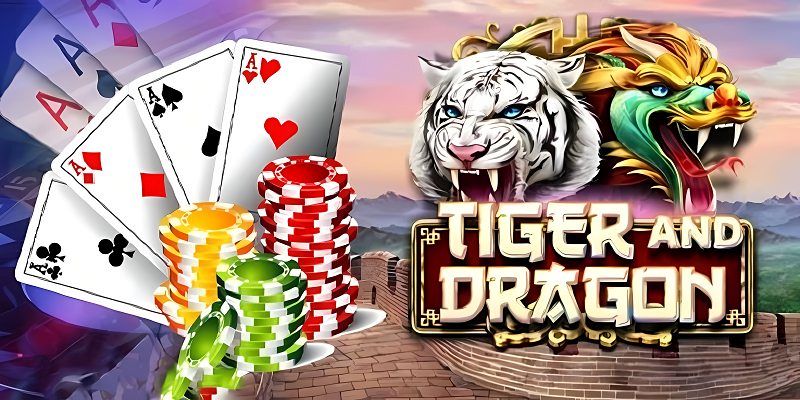 Game Dragon Tiger - Lý Giải Luật Chơi Và Sức Hút Của Game 6 tham-khao-cuoc-gap-thep-de-danh-dragon-tiger-lay-du-von-lai