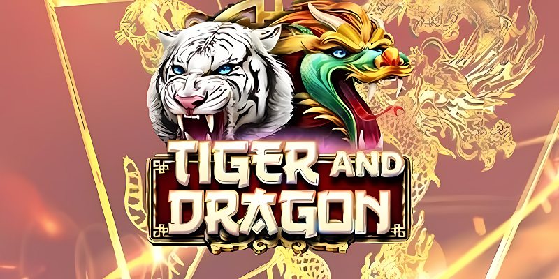 Game Dragon Tiger - Lý Giải Luật Chơi Và Sức Hút Của Game 1 thong-tin-tong-quan-ve-game-dragon-tiger