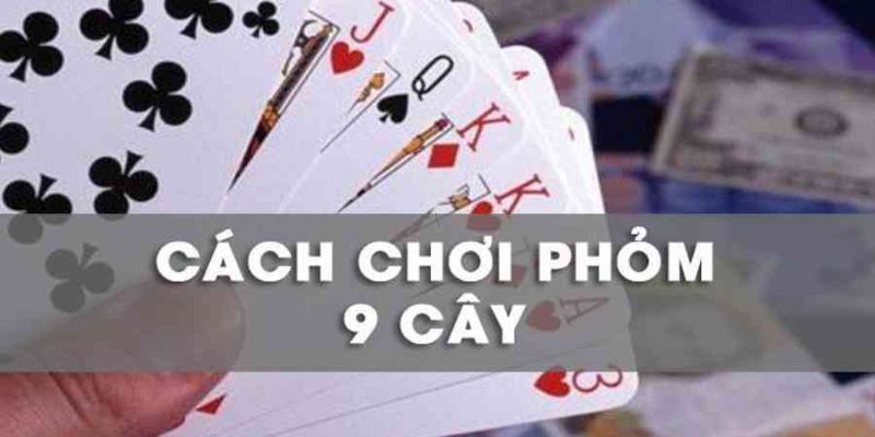Cách Chơi Phỏm 9 Cây Nhanh Chóng Dễ Hiểu Cho Người Chơi 3 cach-choi-phom-9-cay-danh-cho-hoi-vien-moi